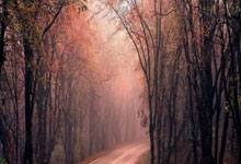 2018年世界杯法国对克罗地亚的决赛比分是多少?