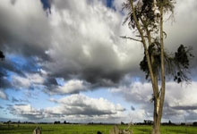 哪里能看五星体育在线直播高清无插件?