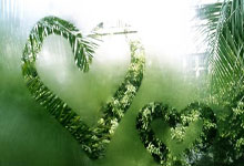 打牌吧下载可靠吗?怎么下载?