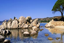 新赛季欧冠对阵有哪些看点和潜在冷门?